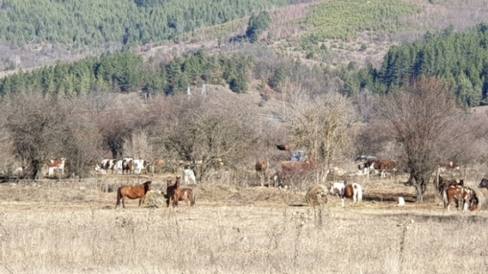 052fe14f147f2f8b3282f6063fa30f681ed28d19