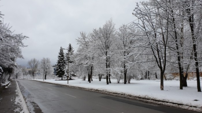 0d9f789a51786bccfe4ee9fb6d1a01ecd1920543