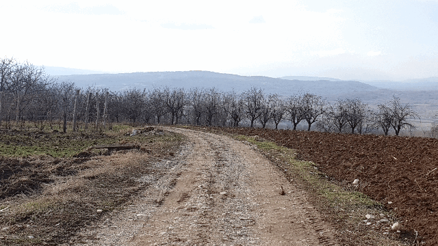 1913a26e5f5f1d2e16e63f1203af5fce08c8e50c