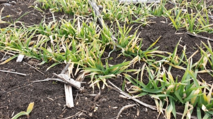 223912879857b33347a45cee72c9a9a297839d2f