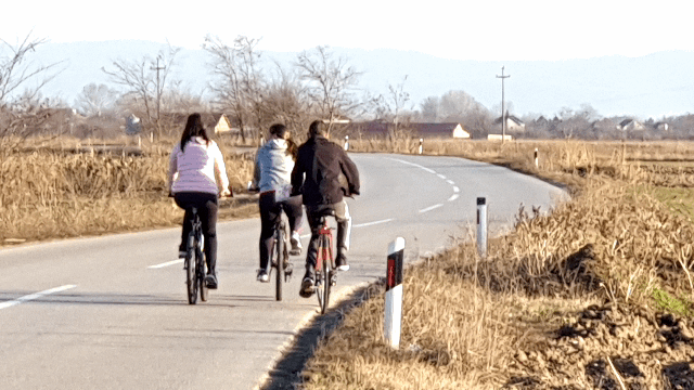 2d6e1fb2ad43413a1e3ab8b3059c83ff0dff83bd