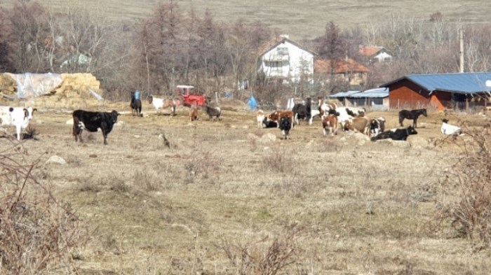 3263f90327bcef15b942c95dd55f9bb78a1620b2