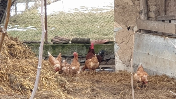 3c43c51e8b7e39187837c42189dfe97961d13999