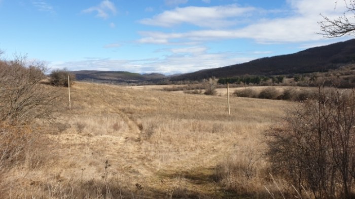 44a4a3073a94998e3c8039e435dbf88e3441e205