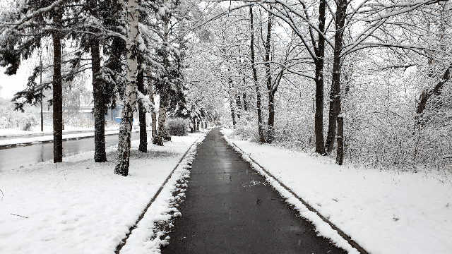 598604100a1fd20f540dfdc9fd3e7a62c37fff2d