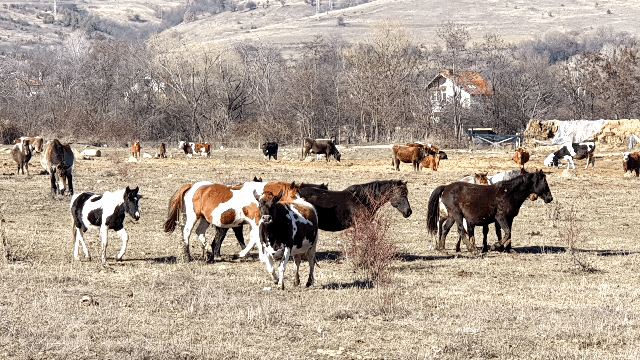 5a87d46caa0703e6be9eb997e58448925d457d06