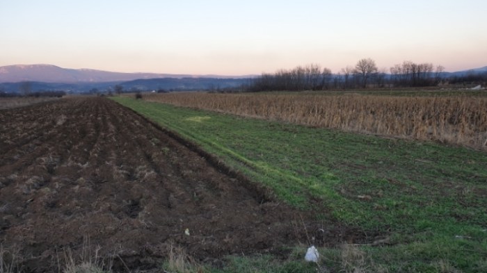 5fa31bc54ca315b95e11beeb937fc9426e928bce