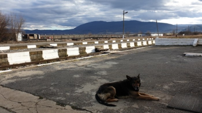 63160aa513069b52abc812d5049783da6de5ea27