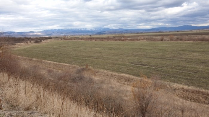 6bbe72dc13aeb3d56e23569b56e085158c7fd50d