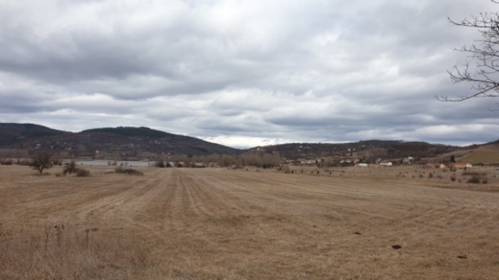 6f8b3ddc9a61052b9fa13c42ea341dc0a21f171d