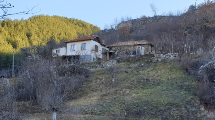 6f916537ab144ff5228035c73c9949ab7efde25e