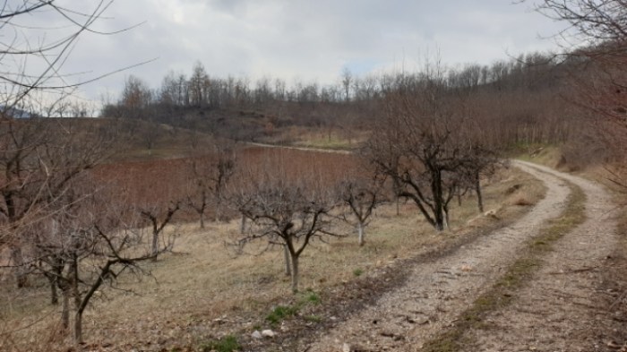 76fb00886c580af298d71e78307553be2918c54b