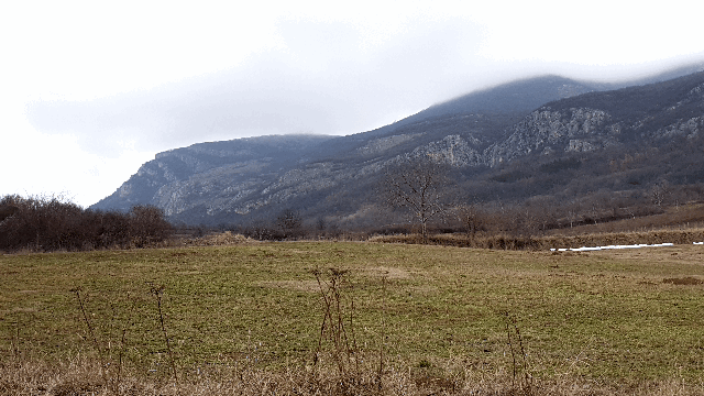 7a01d0f96bc94f409fce3fc48cab02af4f140348