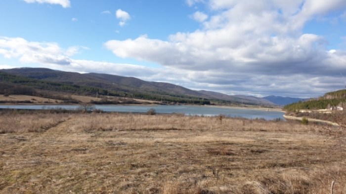 81c0580a83ba1ced40644586562be60918e3ea0b