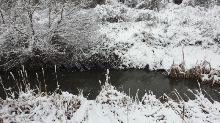 81e343c568591a0d43d15c5813043072a4f4276f