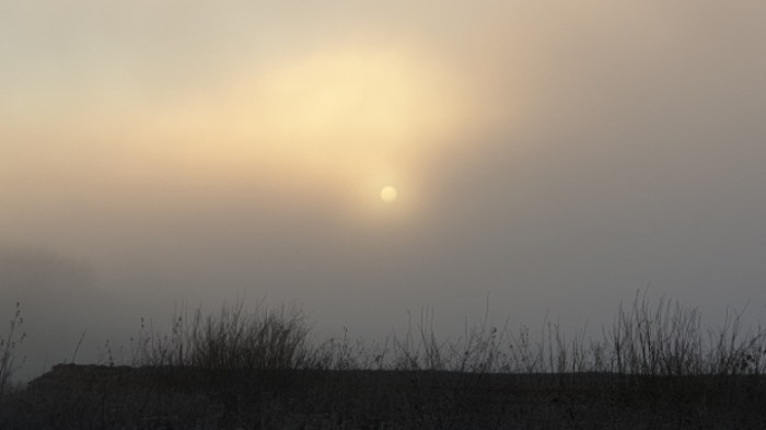 86e650917c722b4c84f5e7af6a5c875279bb85be