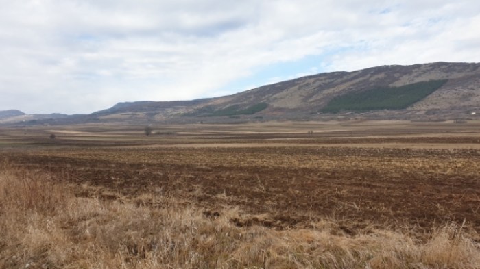 96be71d344ab86026b039c6d20b16077d95747d0