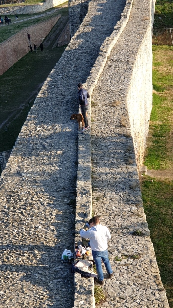 96c0cbfe6eb43ff70ed8b0611b06b4a6e4c4bcb4