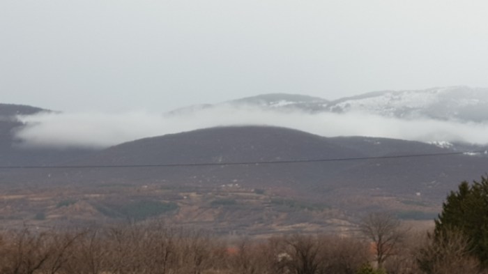 a5b25519c46c6cd15927b52759610092a3ad08f4