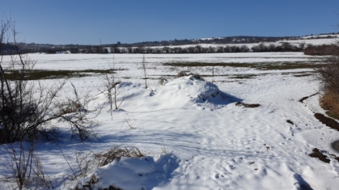 b4eae3ad835fbabd0d8dc35d85a9be06b387872d