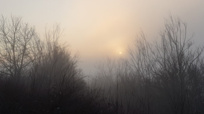 bbaf3a1cf92bf6e50e45ea64f9a74cfc1d0f517a