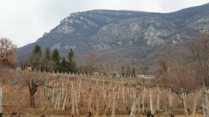 bed5e9e67774a7cd27d1cb9909b5bc930bfb1eb4