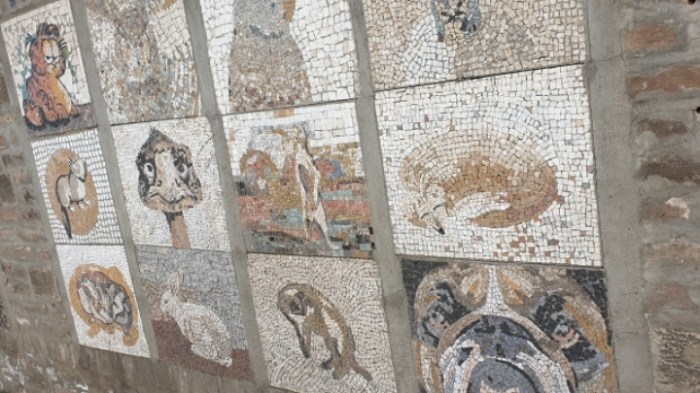 c27d8186185a89ec0687bfbf191e3bdcc9e02c03