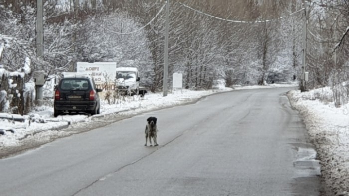 c718b86574dd08493caca1fb9e96f51761912503