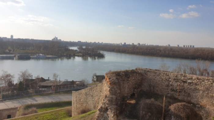 cd3531410e8e0e77454fc8c320b4cd478446ef5a