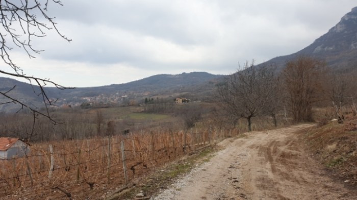 d770dbdf96d72230952aa37caf7110be230a3418