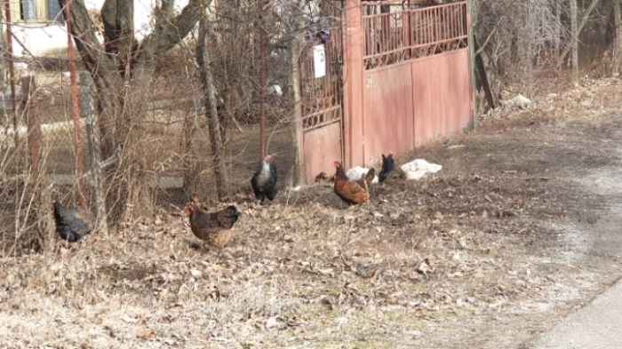 e383c080bc7f1ccbfda94bdbe9858cc7e21db5b0