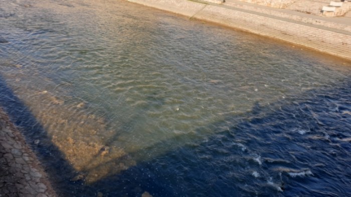 e9ca720250df7c4f109ad98df6b6cef1e508a811