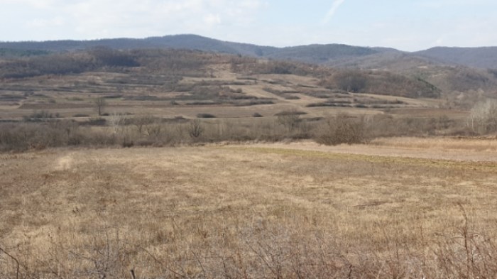 f9d55aaca83a8a23c1cdff3d5ae30955722affc6