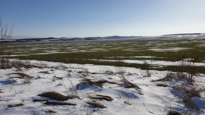 fe0ec538b5522cff2b0c6a9420682987c92227a8