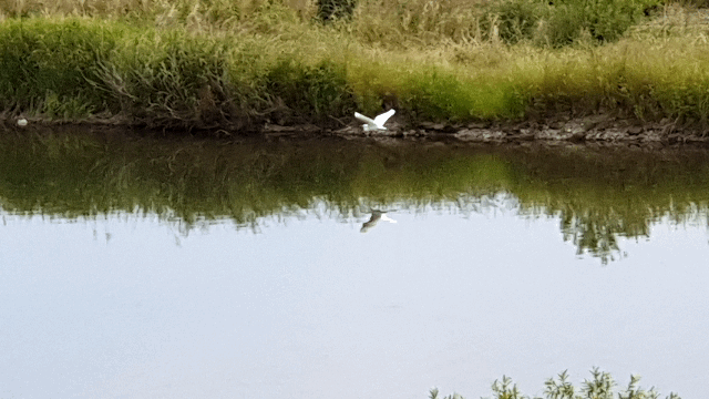 1d2b7e16aab9accae6632ff5ccab95e819bb7bec