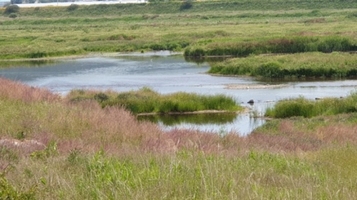 837fbeab26459631d14552fa35a2cff3d9c7171c