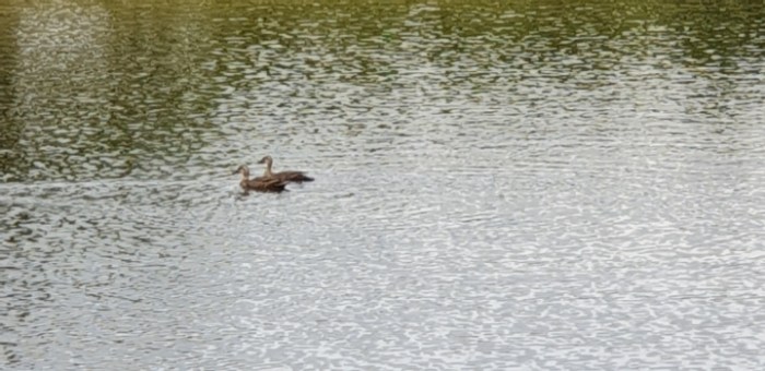 cb90c98a7507fcd5da038acf320b3fc47550f781