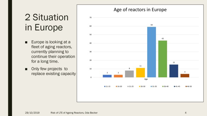Seoul 2019 Ageing reactors.pdf_page_04