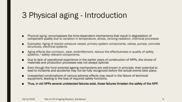 Seoul 2019 Ageing reactors.pdf_page_05