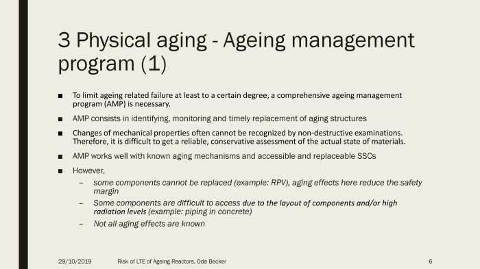 Seoul 2019 Ageing reactors.pdf_page_06